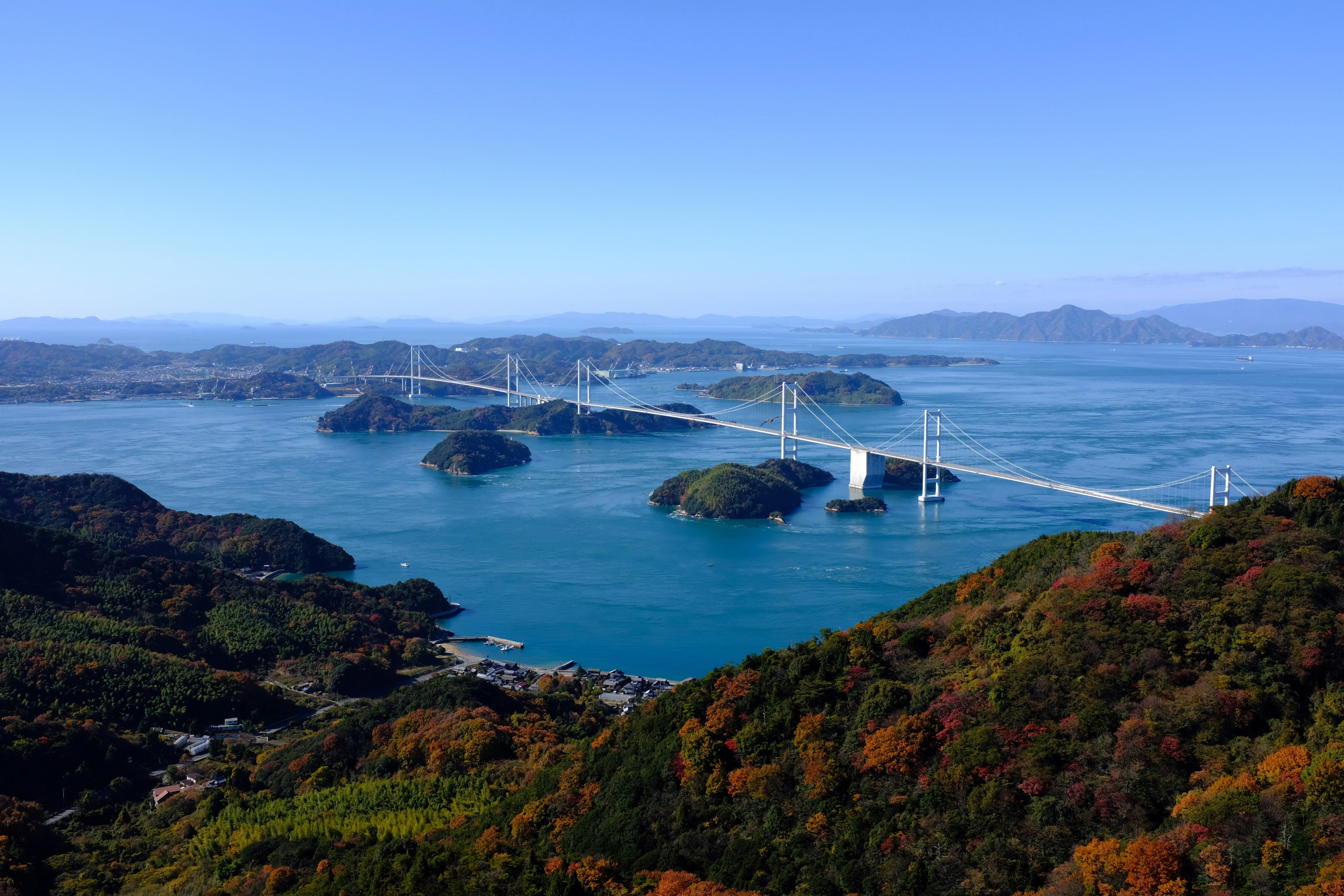 white metal bridge across bay